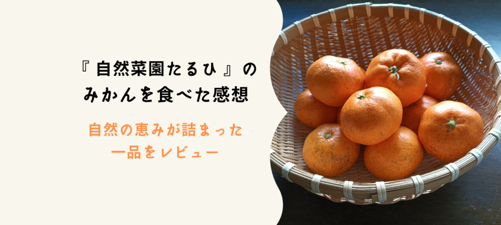 『 自然菜園たるひ 』のみかんを食べた感想：自然の恵みが詰まった一品をレビュー