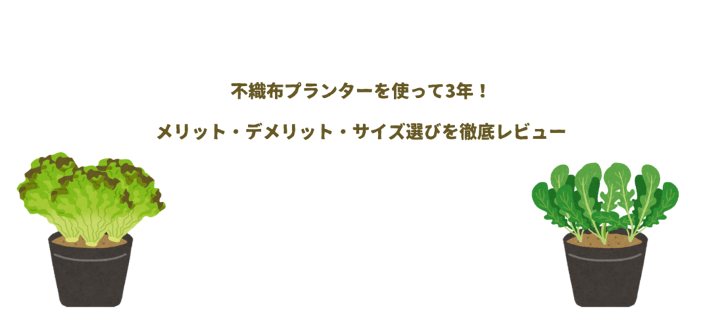 不織布プランターを使って3年！メリット・デメリット・サイズ選びを徹底レビュー