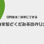 0円生活！簡単にできる自家製どくだみ茶の作り方