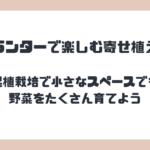 プランターで楽しむ寄せ植え！混植栽培で小さなスペースでも野菜をたくさん育てよう