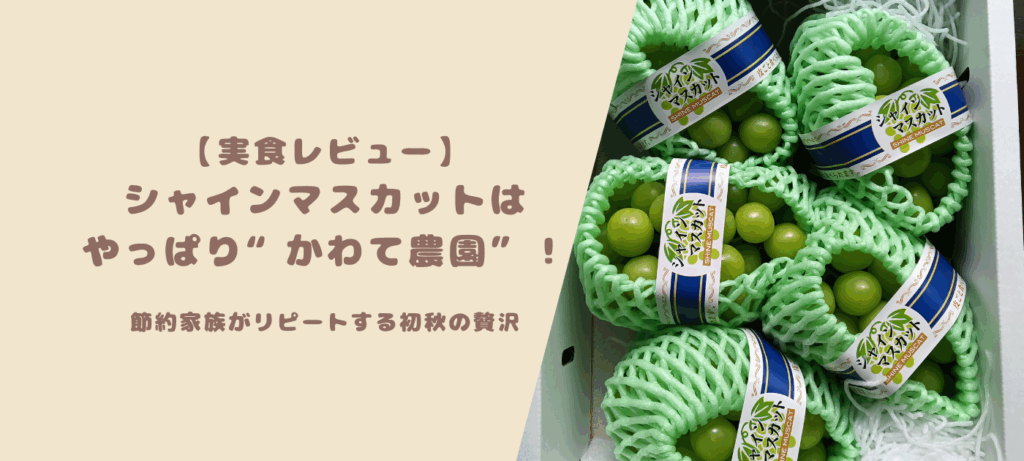【実食レビュー】シャインマスカットはやっぱり“かわて農園”！節約家族がリピートする初秋の贅沢