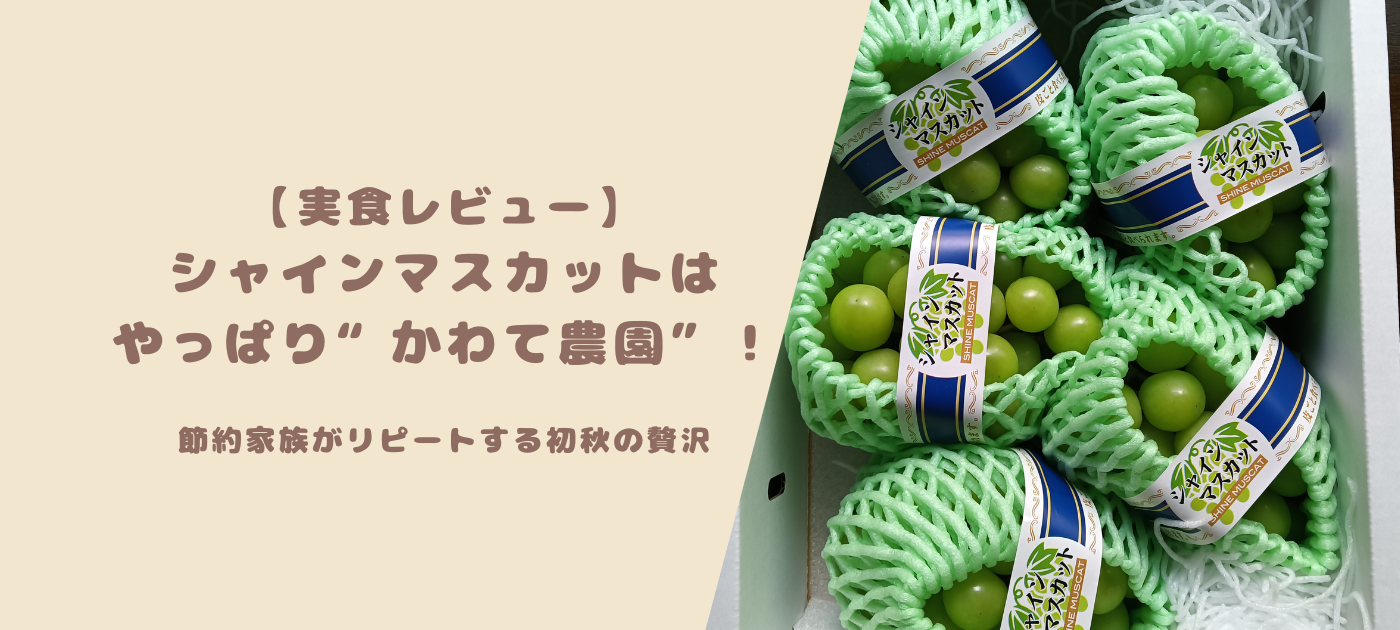 【実食レビュー】シャインマスカットはやっぱり“かわて農園”!節約家族がリピートする初秋の贅沢