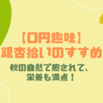 【0円趣味】銀杏拾いのすすめ｜秋の自然で癒されて、栄養も満点！
