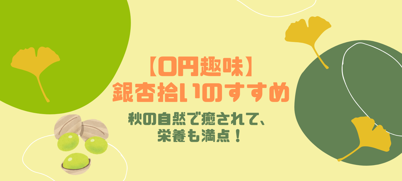 【0円趣味】銀杏拾いのすすめ｜秋の自然で癒されて、栄養も満点！
