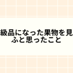 高級品になった果物を見て、ふと思ったこと