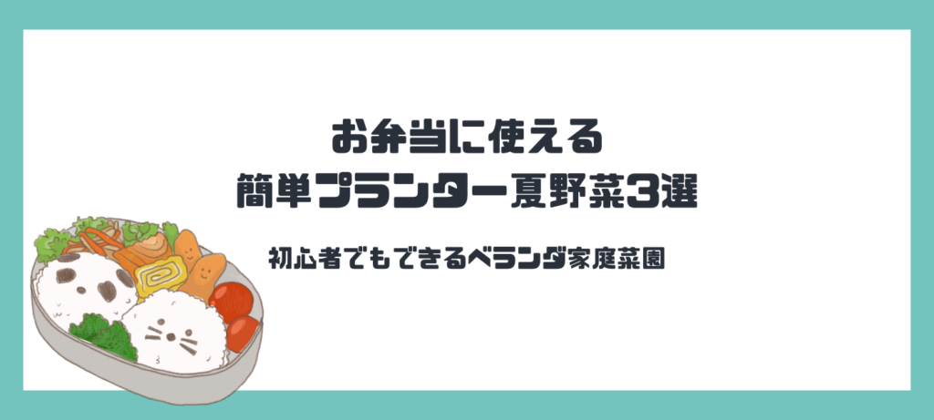 お弁当に使える簡単プランター夏野菜3選｜初心者でもできるベランダ家庭菜園