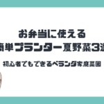 お弁当に使える簡単プランター夏野菜3選｜初心者でもできるベランダ家庭菜園