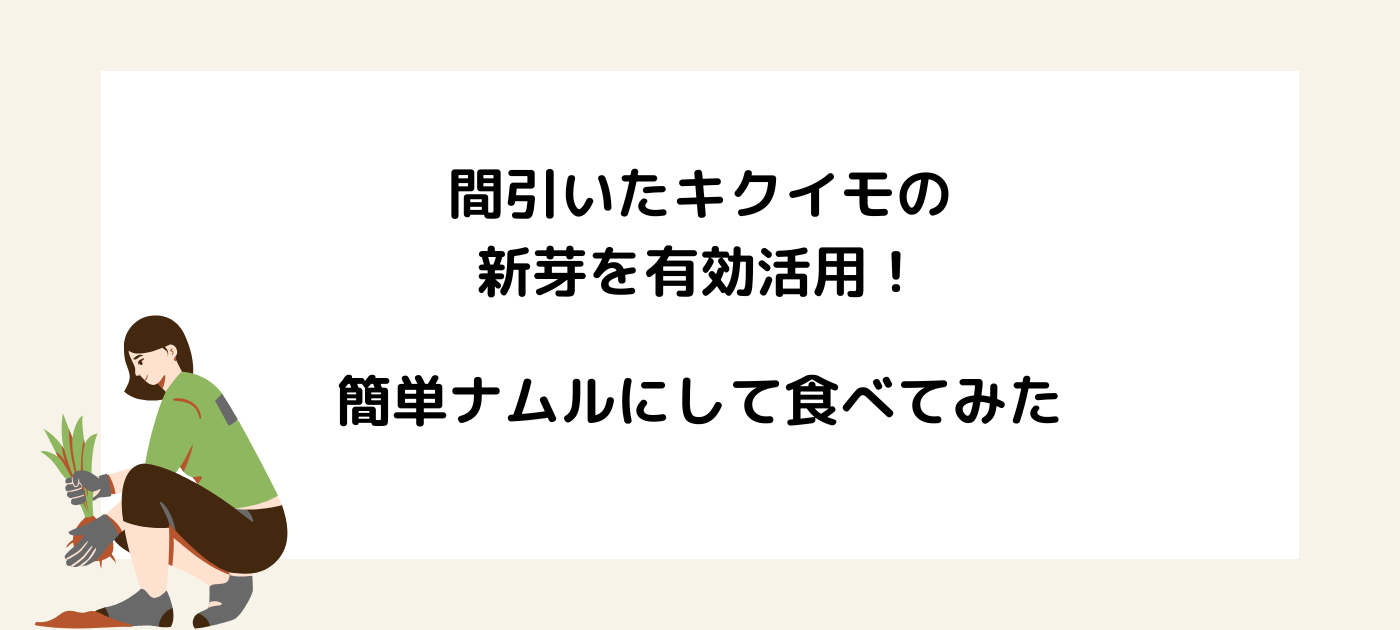 間引いたキクイモの新芽を有効活用！簡単ナムルにして食べてみた