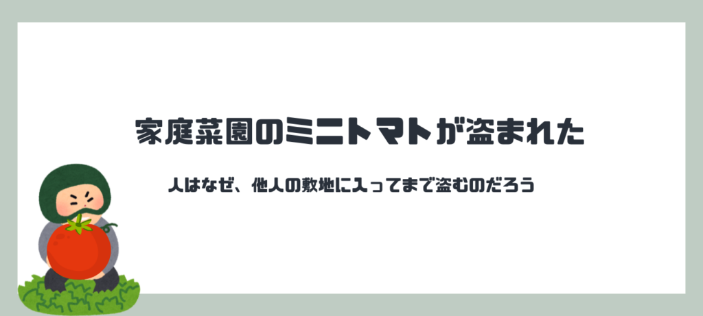 家庭菜園のミニトマトが盗まれた。人はなぜ、他人の敷地に入ってまで盗むのだろう
