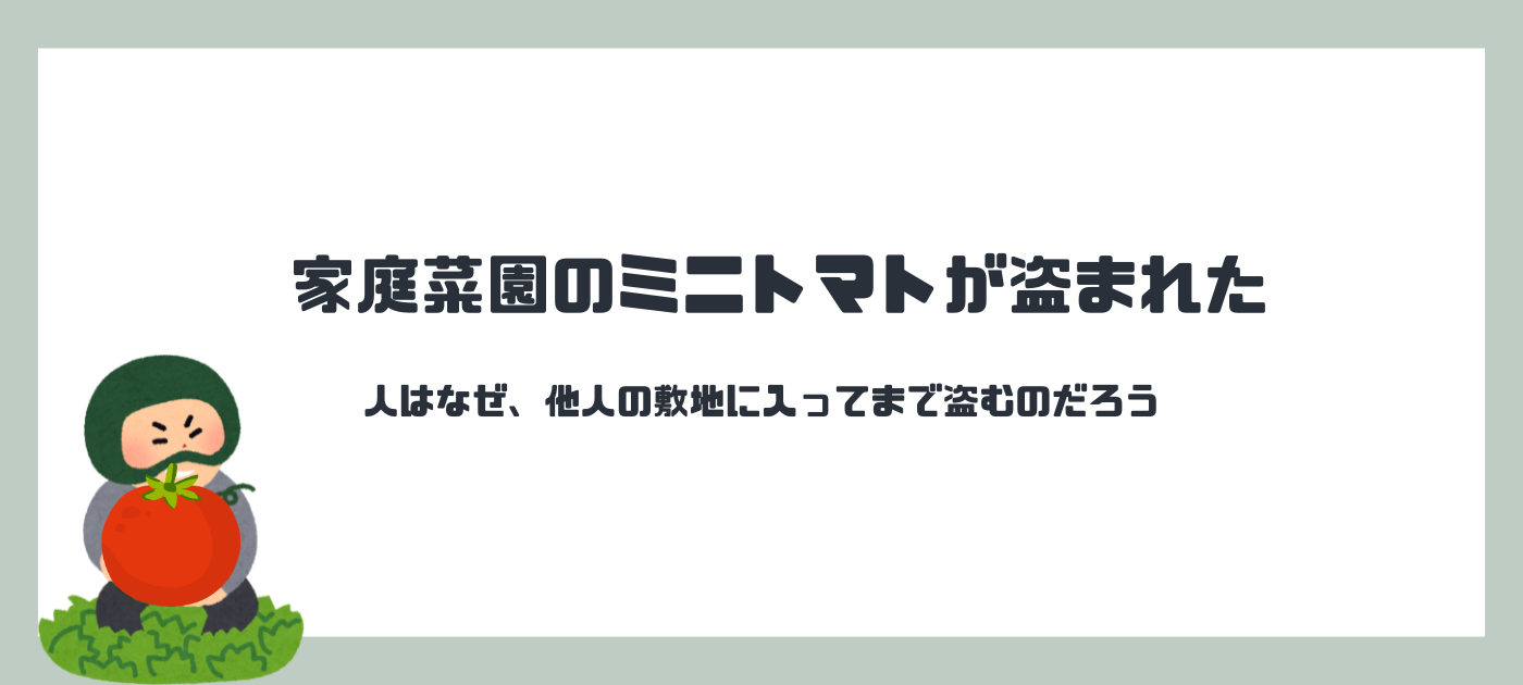 家庭菜園のミニトマトが盗まれた。人はなぜ、他人の敷地に入ってまで盗むのだろう