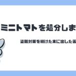 ミニトマトを処分しました。盗難対策を続けた末に出した苦渋の決断